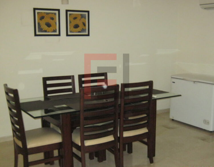 3 BHK Apartment in DLF Park Place